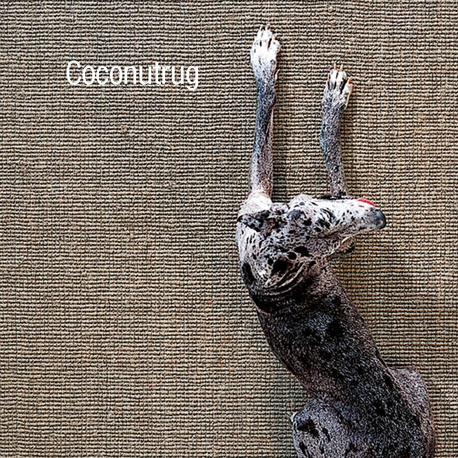 G.T.Design collection: Coconutrug