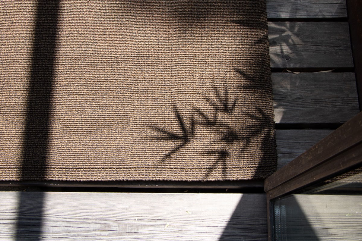 tappeto design collezione o sole mio flat